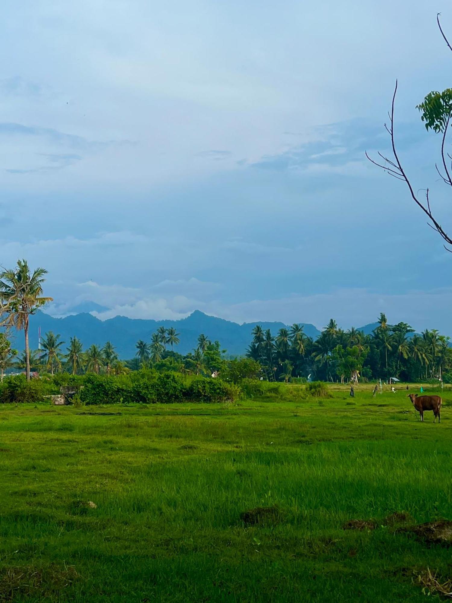 Rinjani Beach Eco Resort Tanjung  Exterior foto